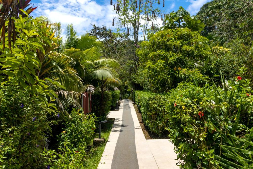 En stillsam promenad genom frodig grönska – där naturen leder vägen.