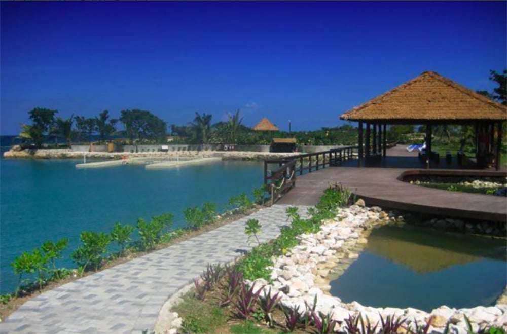 Delfinupplevelse på Dolphin Cove i Negril Jamaica