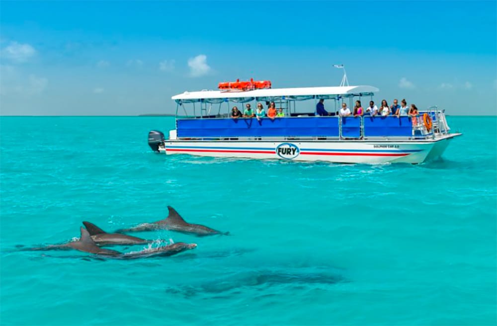 Turkost hav och tropisk kust i Key West Florida