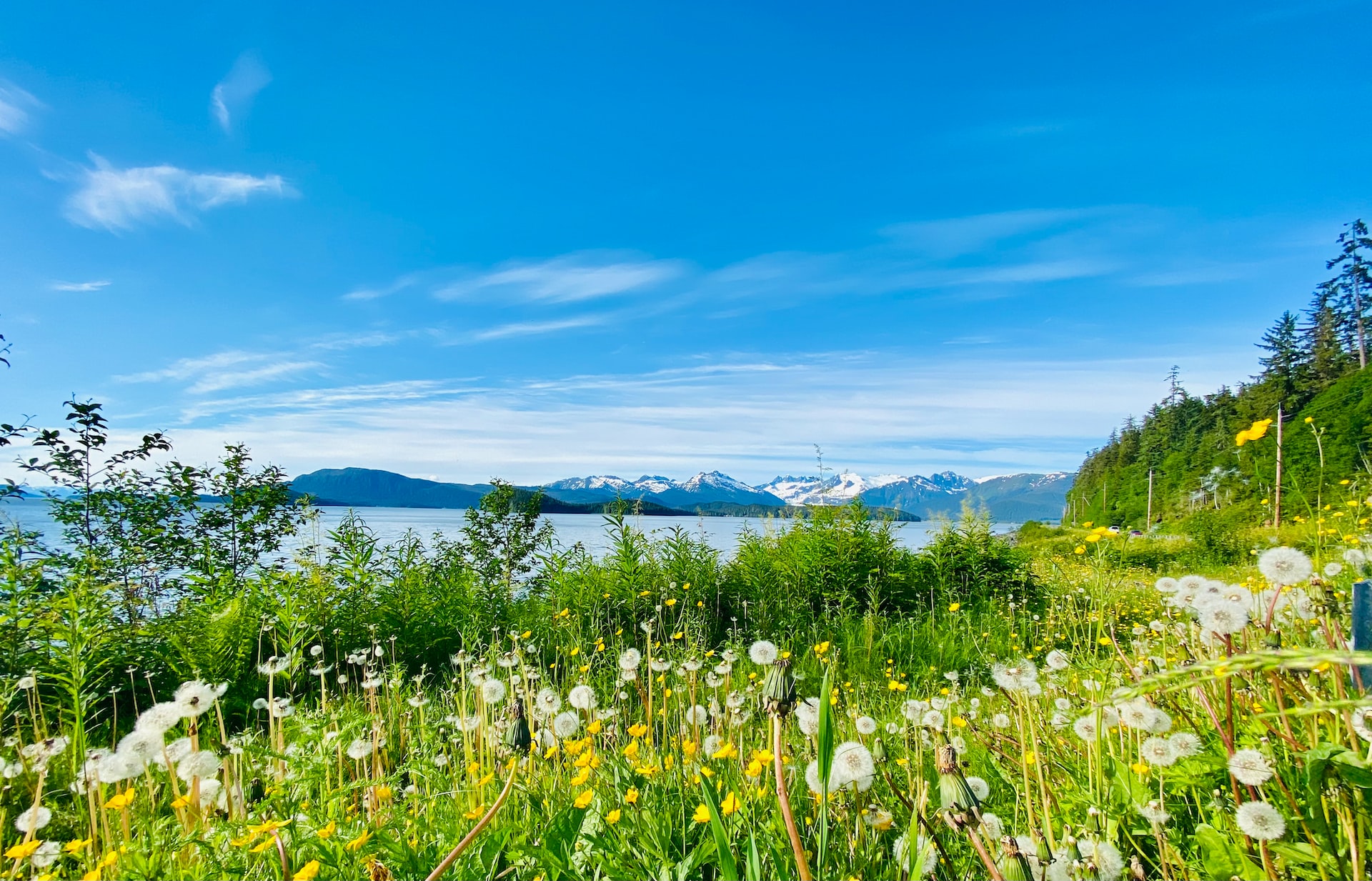 Juneau stad i Alaska med fjordar och berg runt staden