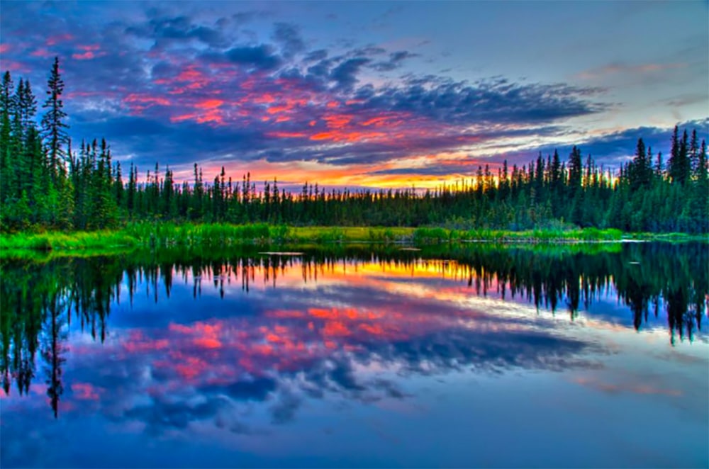 Fairbanks stad i Alaska med flod och natur runt omkring