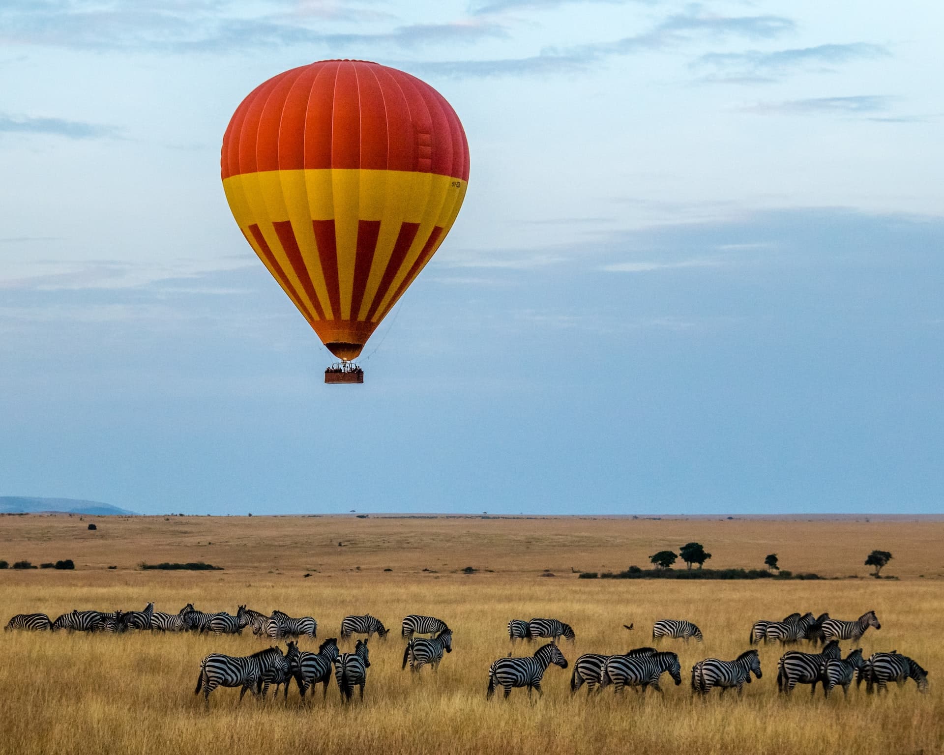 Luftballong över Masai Mara safari Kenya