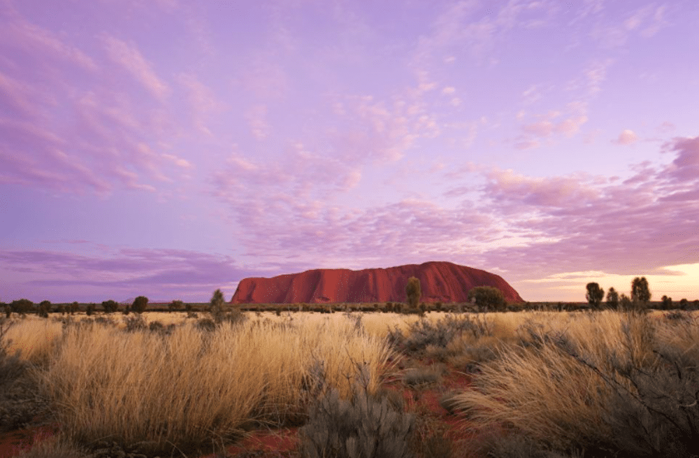 Uluru (Ayers Rock) i Australiens Red Centre i solnedgång, omgivet av ökenlandskap – en ikonisk naturupplevelse och ett UNESCO-världsarv.