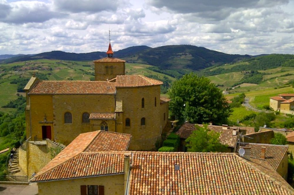 Vinodlingar i Rhônedalen vid solnedgången