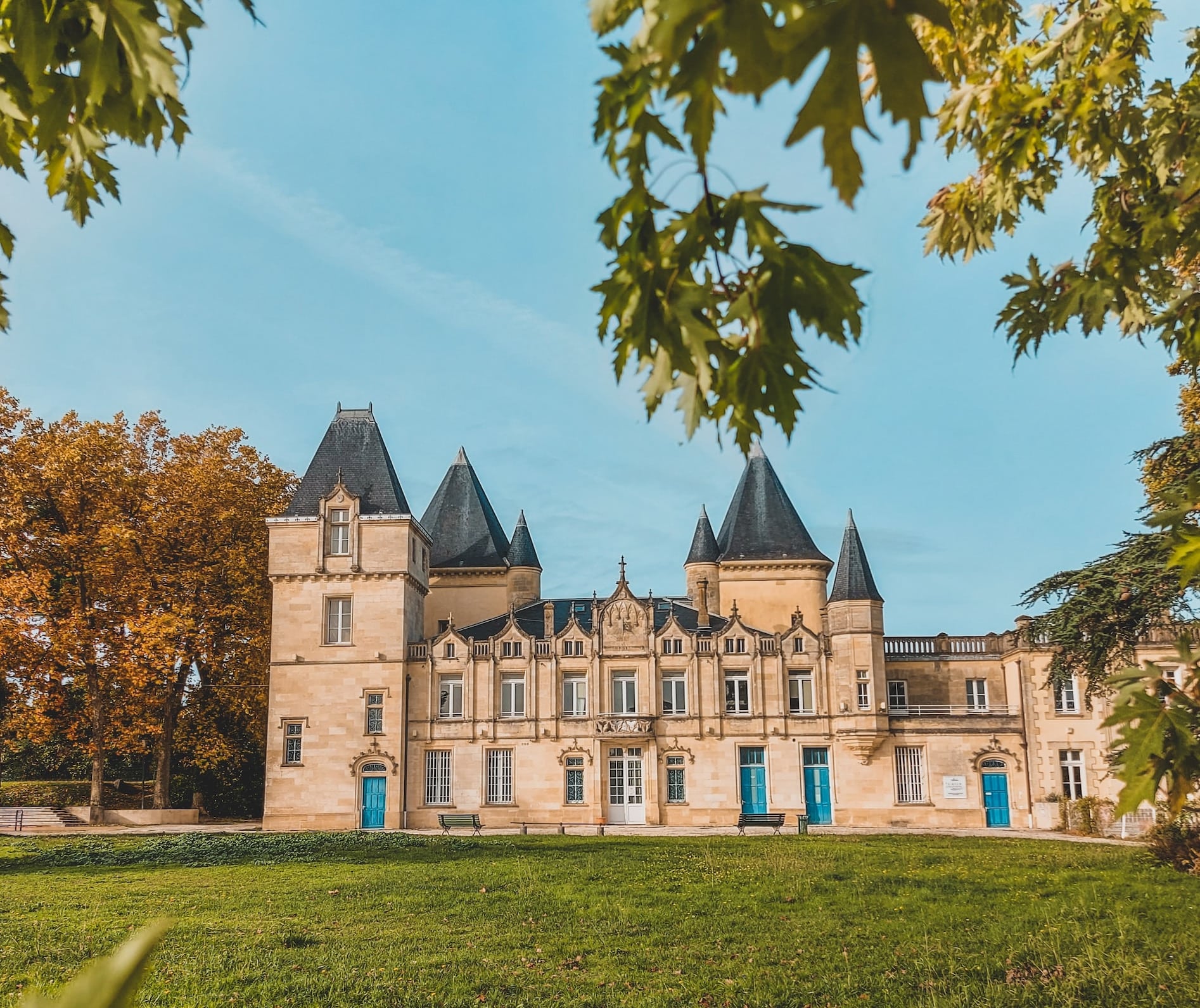 Vingårdar i Bordeaux med vinrankor och landsbygd i vinregionen