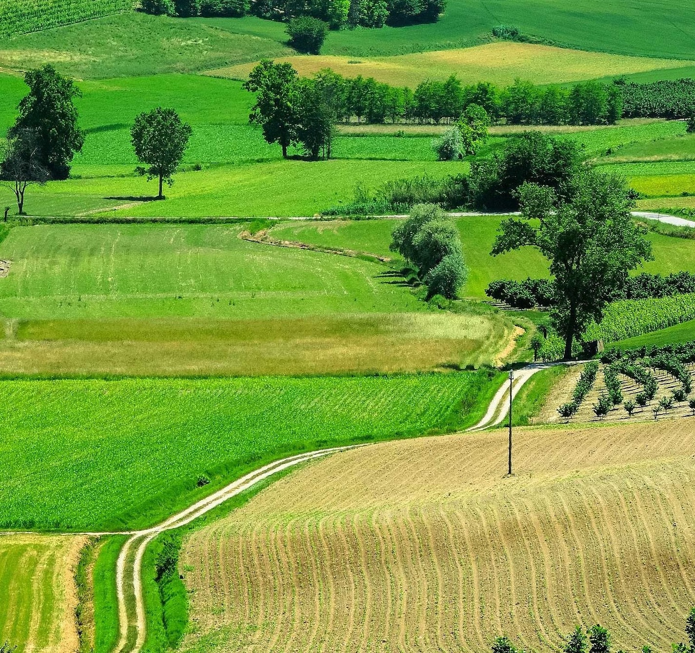 Grönt landskap i Piemonte med böljande kullar, vinodlingar och idylliska byar som breder ut sig under en klar himmel i norra Italien.