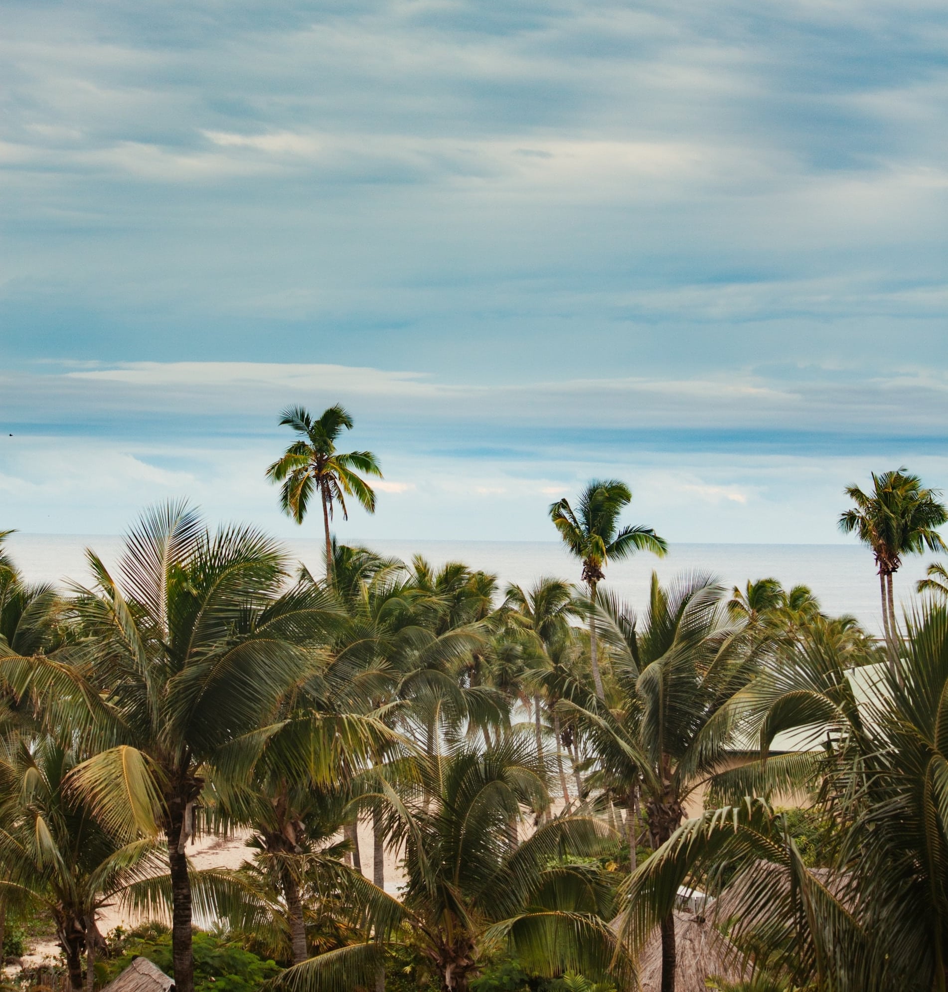 Strand på Viti Levu med vajande palmer, vit sand och turkost hav i tropiska omgivningar.