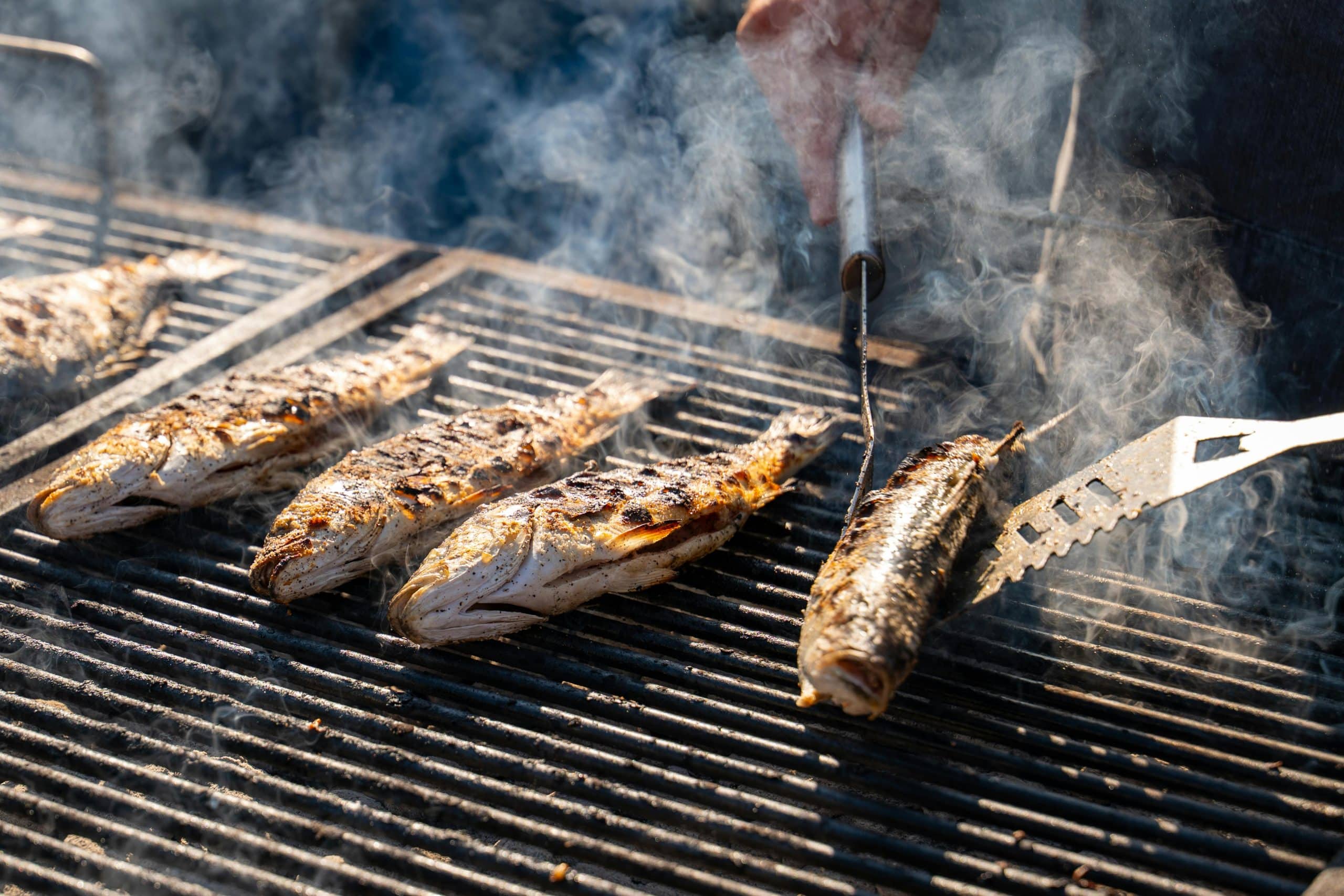 Grillad färsk fisk över öppen eld i Kap Verde – lokal gastronomi, nyfångad seafood och autentisk matupplevelse på tropisk semester