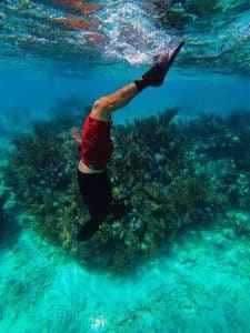 Dykning och snorkling i Egypten, lyxsemester 3