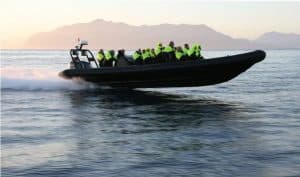 RIB-båt med passagerare på havet i solnedgång vid Hankø skärgård
