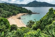 Tropisk sandstrand omgiven av grönskande djungel och berg vid lugnt turkost hav.